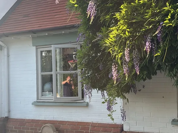 Wisteria courtyard garden designed by Alana of Cwtch Design Oxford
