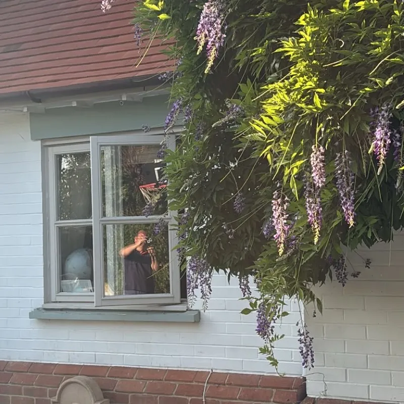 Wisteria courtyard garden designed by Alana of Cwtch Design Oxford