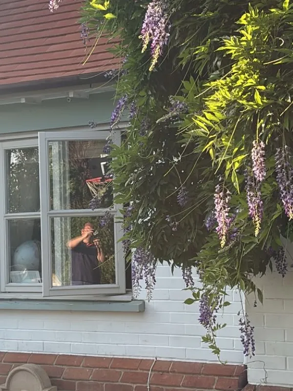 Wisteria Garden & Pool